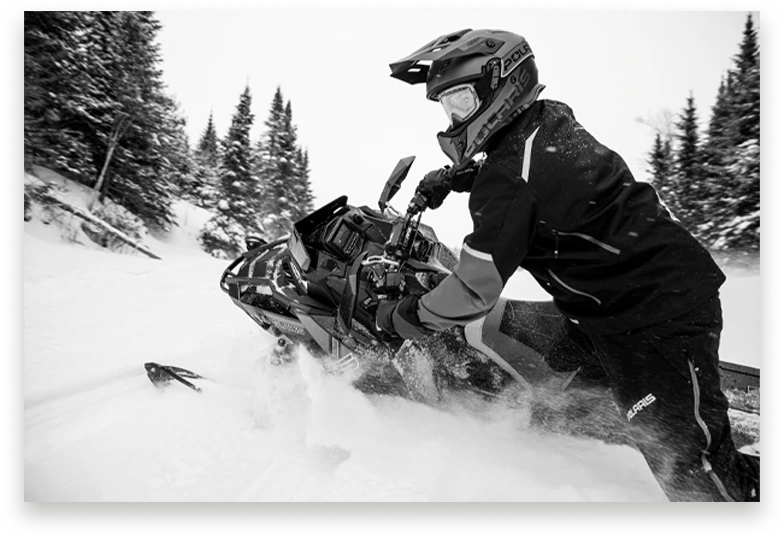 Chalets en bois rond
