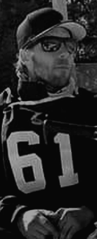 Chalets en bois rond