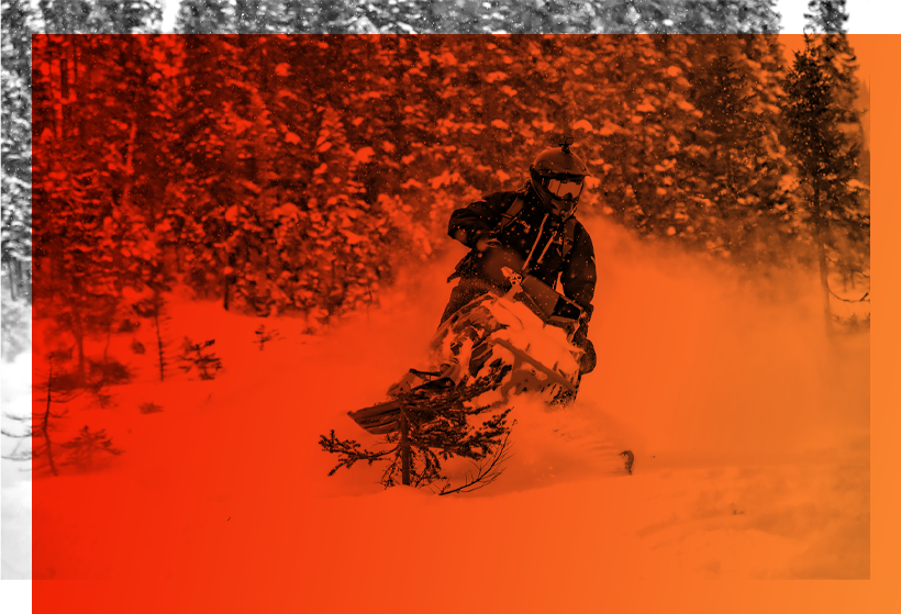 Chalets en bois rond