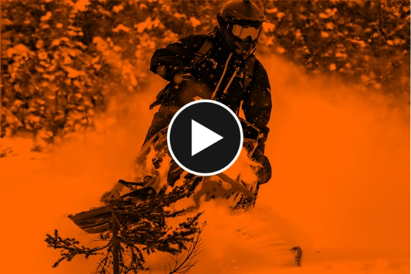 Chalets en bois rond